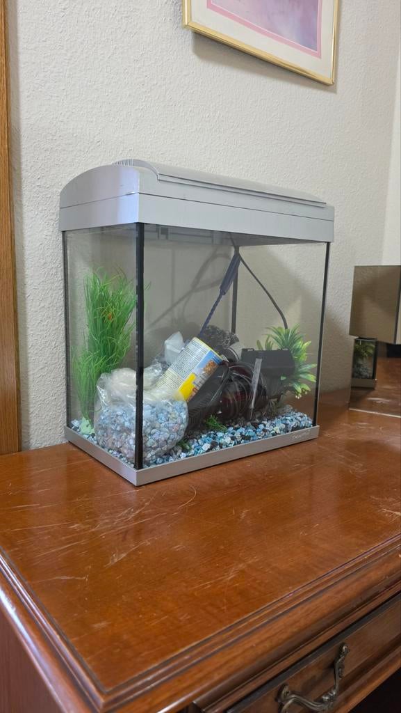 Aquarium avec chauffage et filtre, Enlèvement, Chauffage, Utilisé, Filter