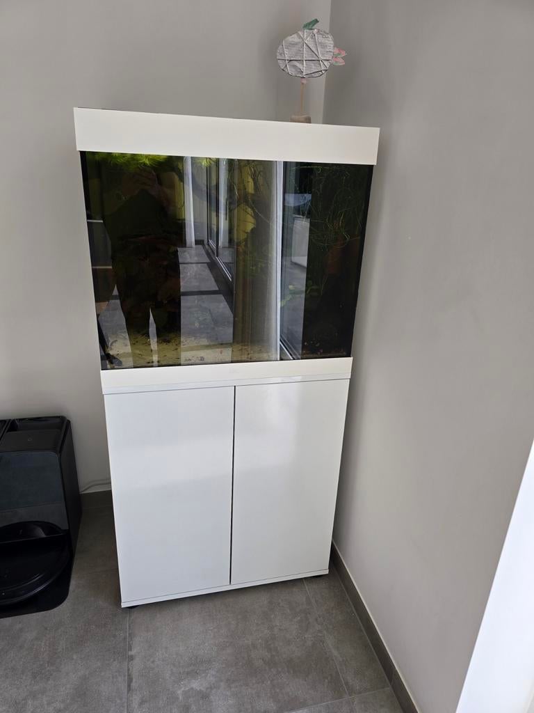 Juwel lido. 2 led spectrum met controler, Animaux & Accessoires, Enlèvement