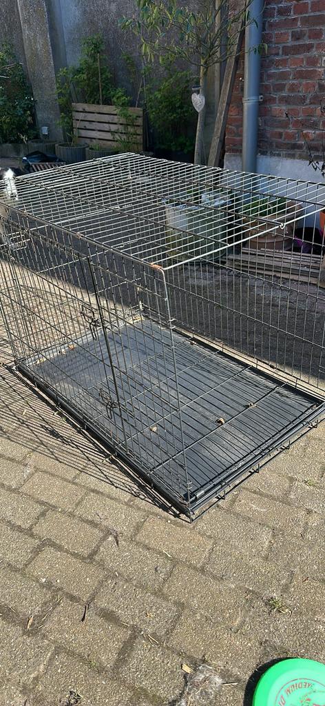 Grande cage pour chien, 65 à 100 cm, Enlèvement, 110 cm ou plus, Niche à chien