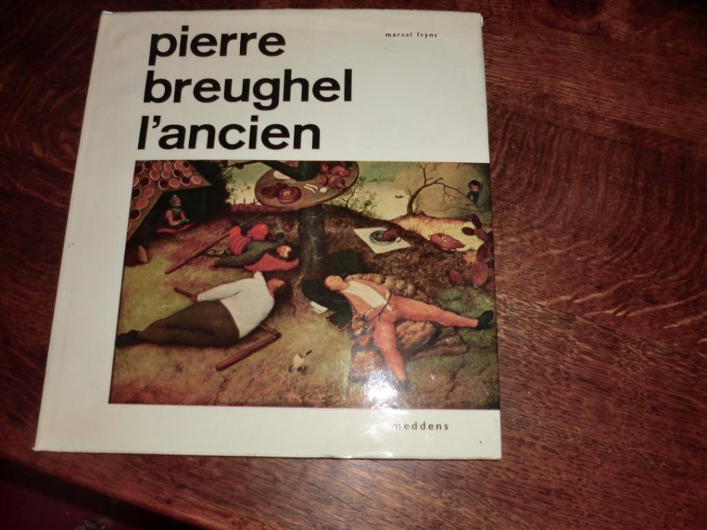 Livre d'art Pieter Breugel the Elder, Enlèvement ou Envoi, Comme neuf, Art et Culture