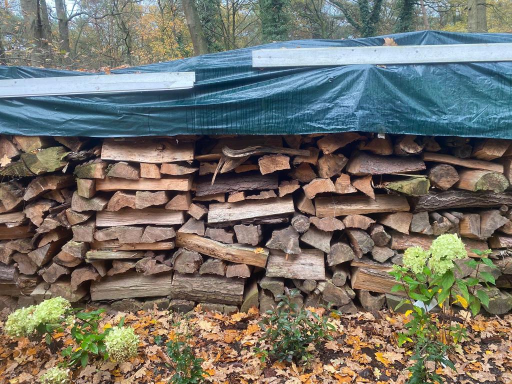 BRANDHOUT TE KOOP, Tuin en Terras, Ophalen