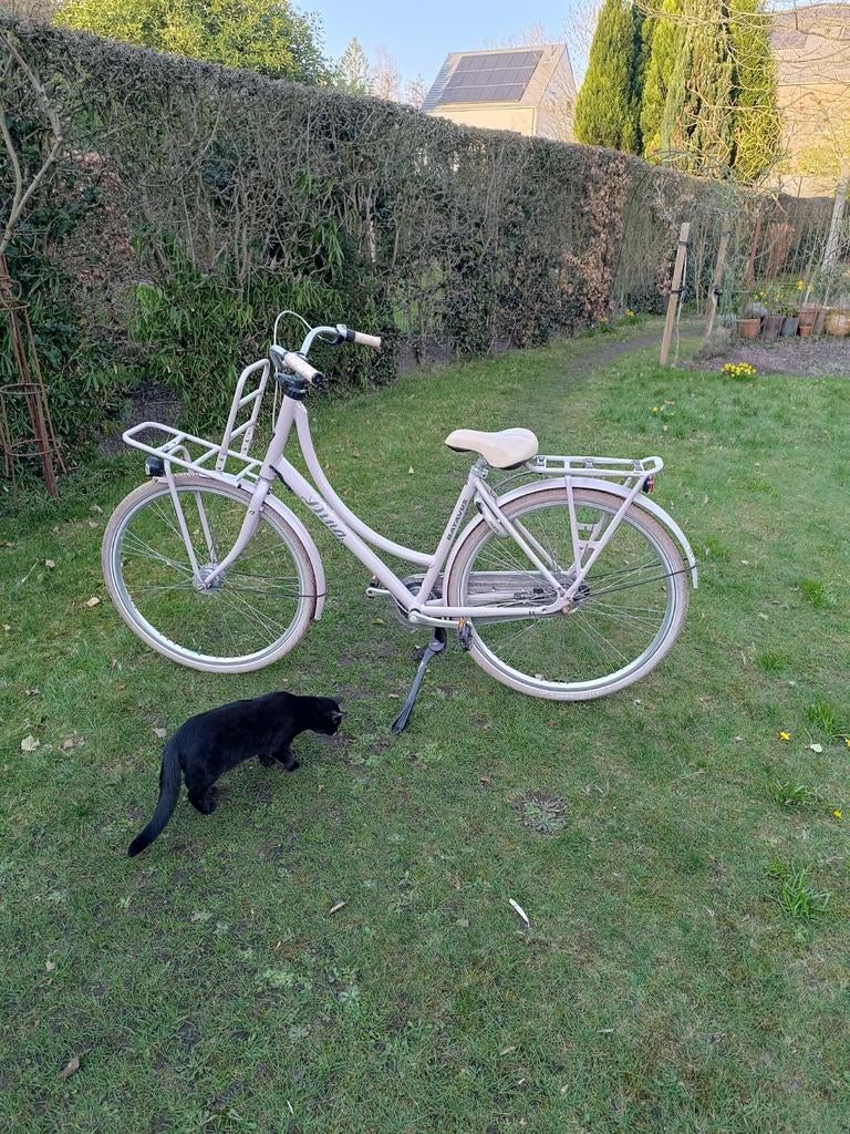 Meisjesfiets Diva Batavus, Fietsen en Brommers, Ophalen, Versnellingen