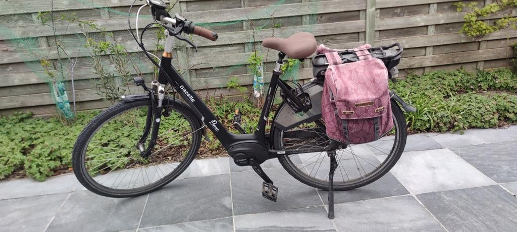 Gazelle Arroyo L, 53 à 56 cm, Enlèvement, Gazellle