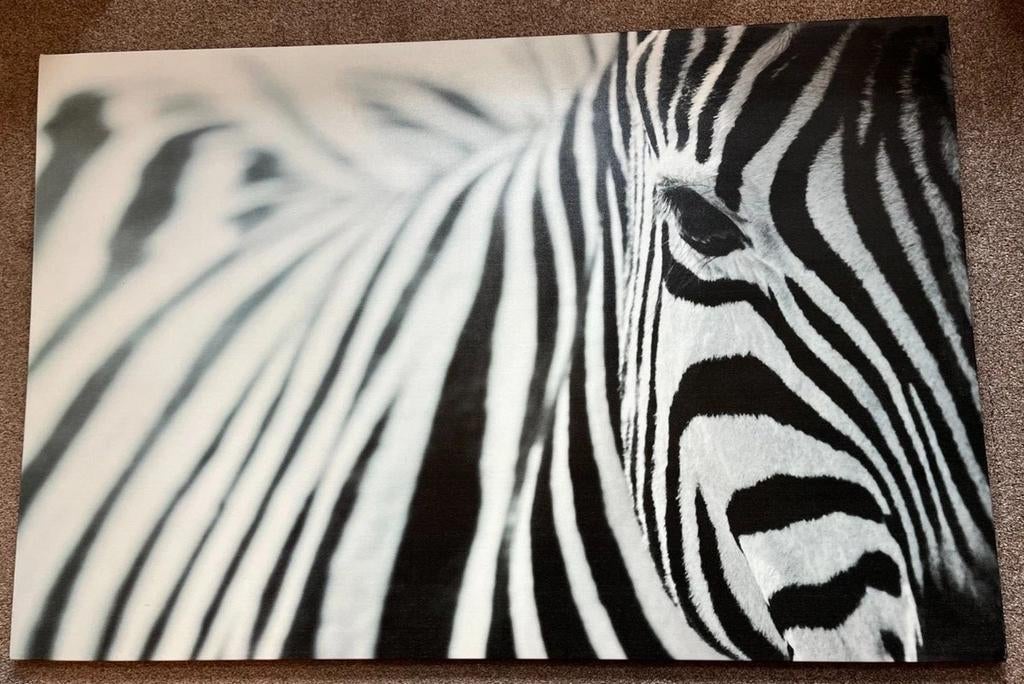 IKEA schilderij „Zebra” op canvas 78cm x 1,17m, Antiek en Kunst, Ophalen