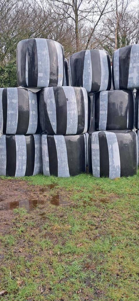 Hooi, Dieren en Toebehoren, Dierenvoeding, Ophalen of Verzenden