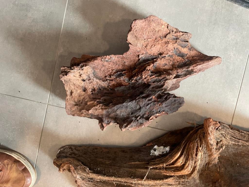 2 grote mangrove hout aquarium, Dieren en Toebehoren, Vissen | Aquaria en Toebehoren, Ophalen