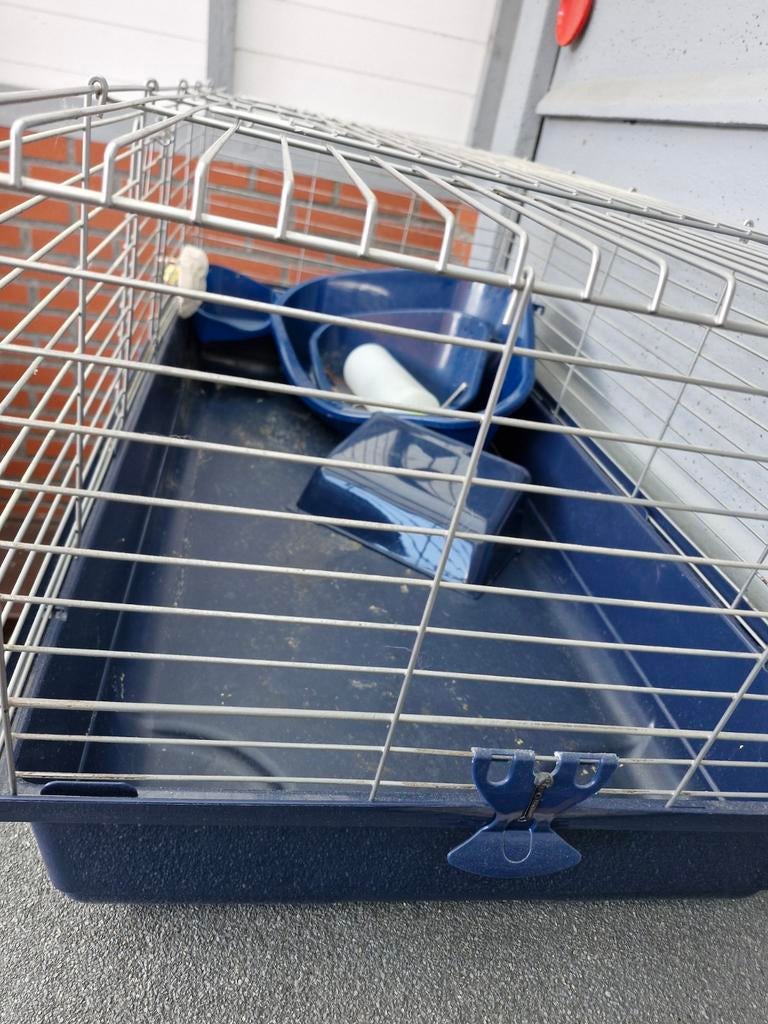 Konijnenhokken voor binnen en buiten, Dieren en Toebehoren, Ophalen