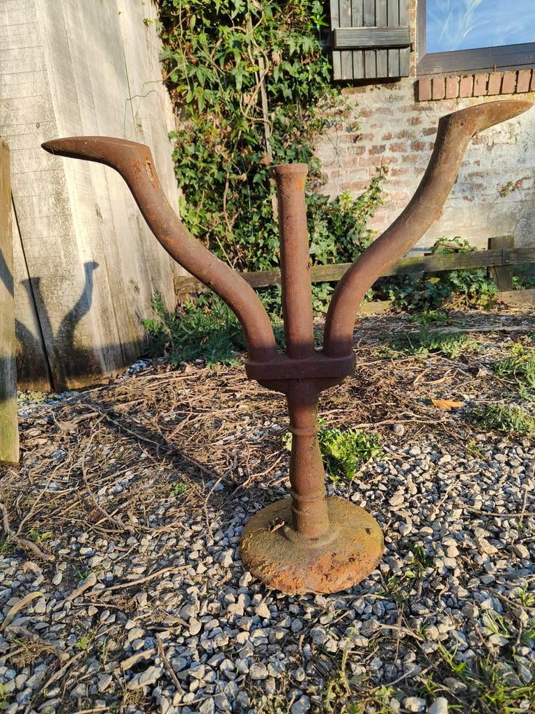 Ancien pied de cordonnier, Ophalen