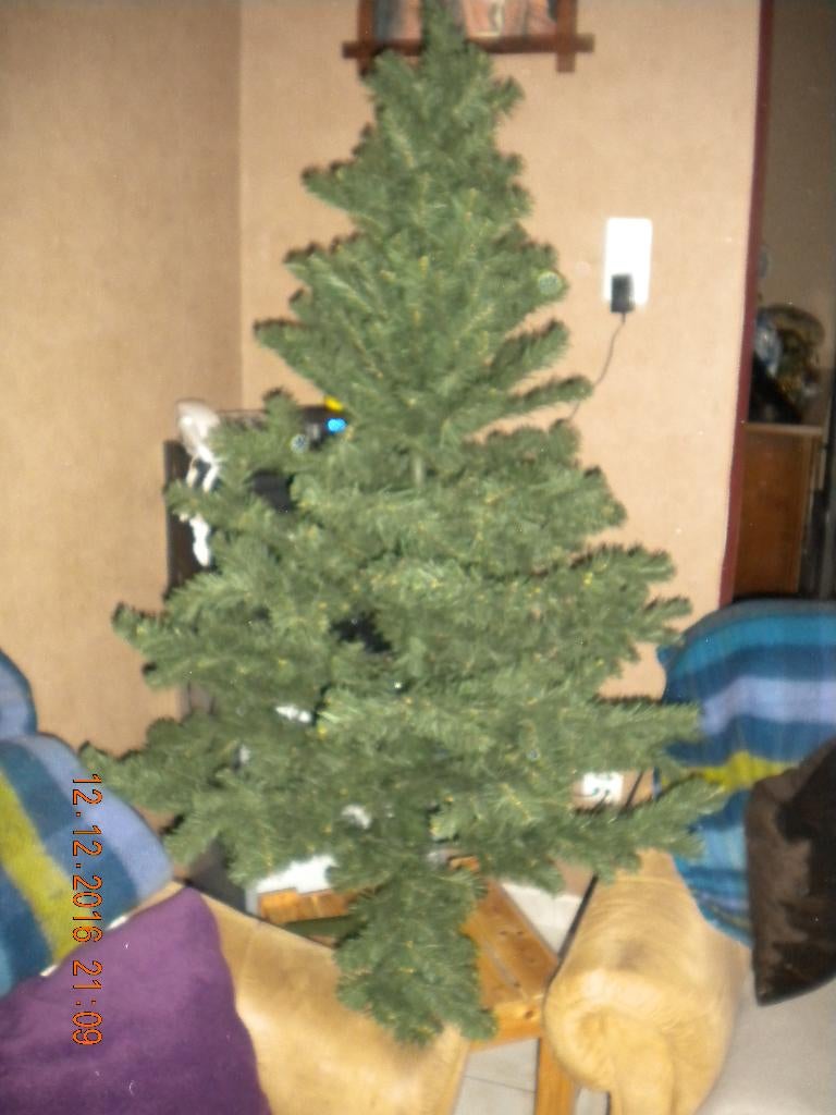 Kerstboom, Diversen, Ophalen