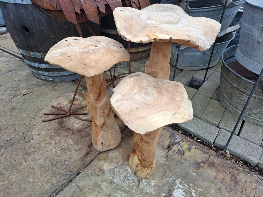 TEAK  houten paddestoelen set grote maat!  3 stuks!  TOPPER, Tuin en Terras, Ophalen