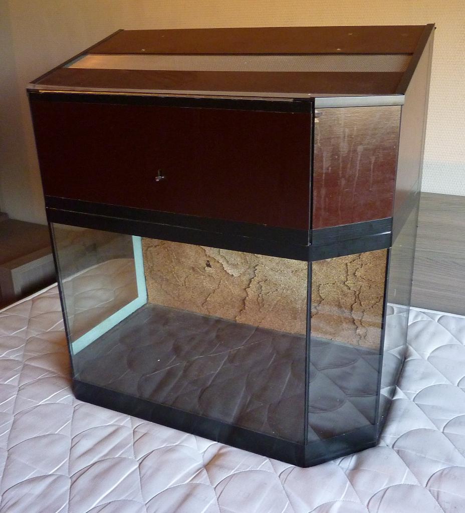 Terrarium (Zelfbouw), Hagedis