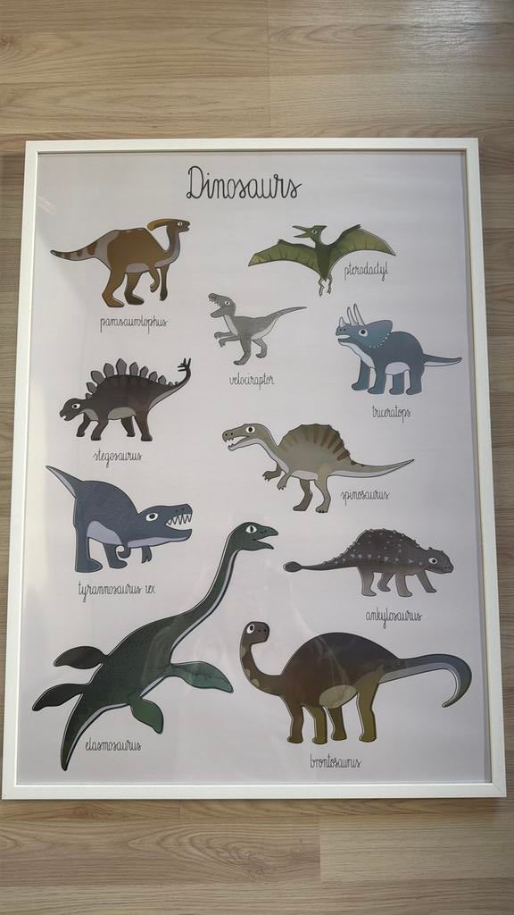 Poster dino’s + kader 50x70cm, Ophalen of Verzenden, Zo goed als nieuw