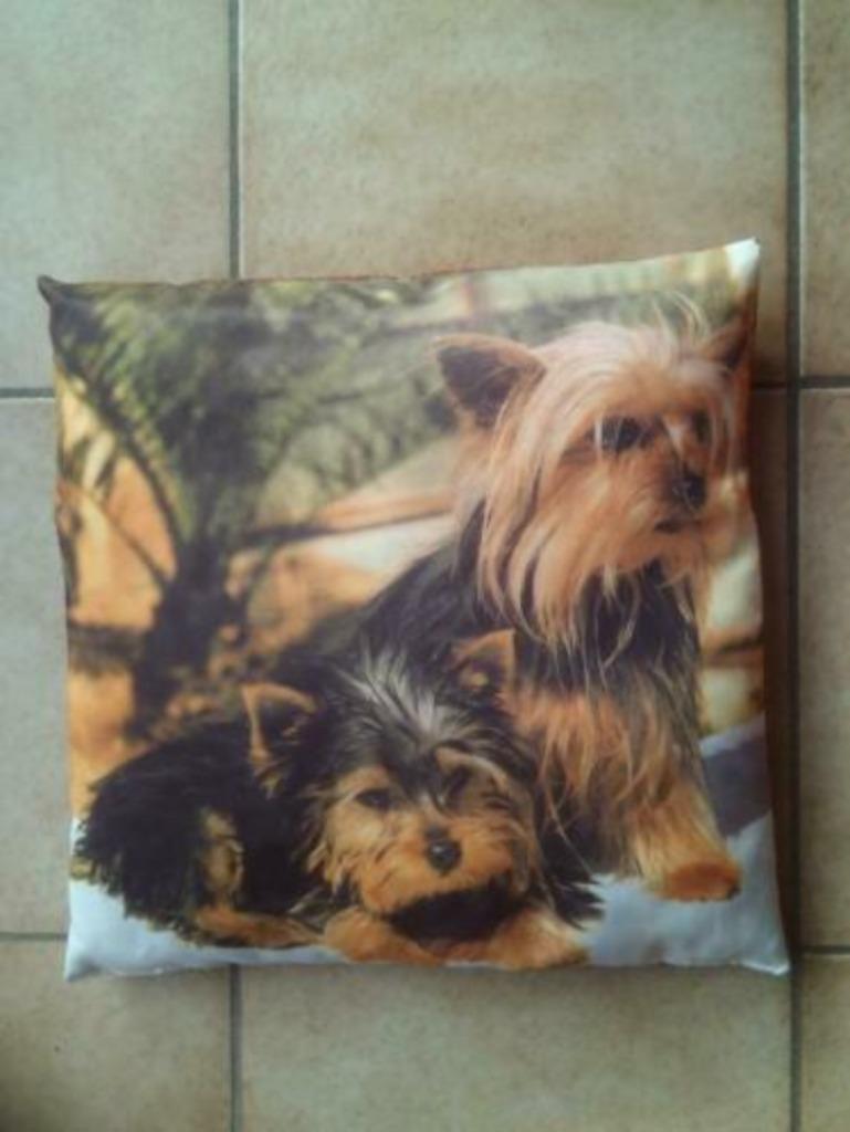 Coussin chiens Yorkshire - 37 cm - neuf, Enlèvement ou Envoi, Neuf, Autres couleurs, Carré