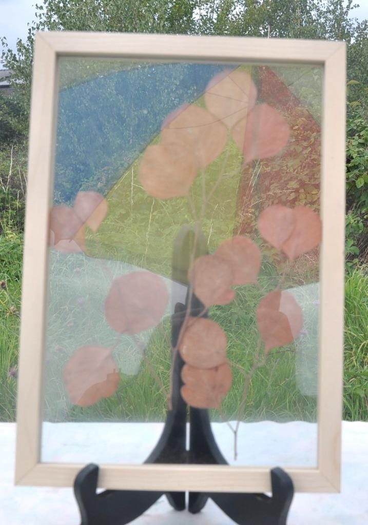 cadre herbier tour bois, Enlèvement ou Envoi