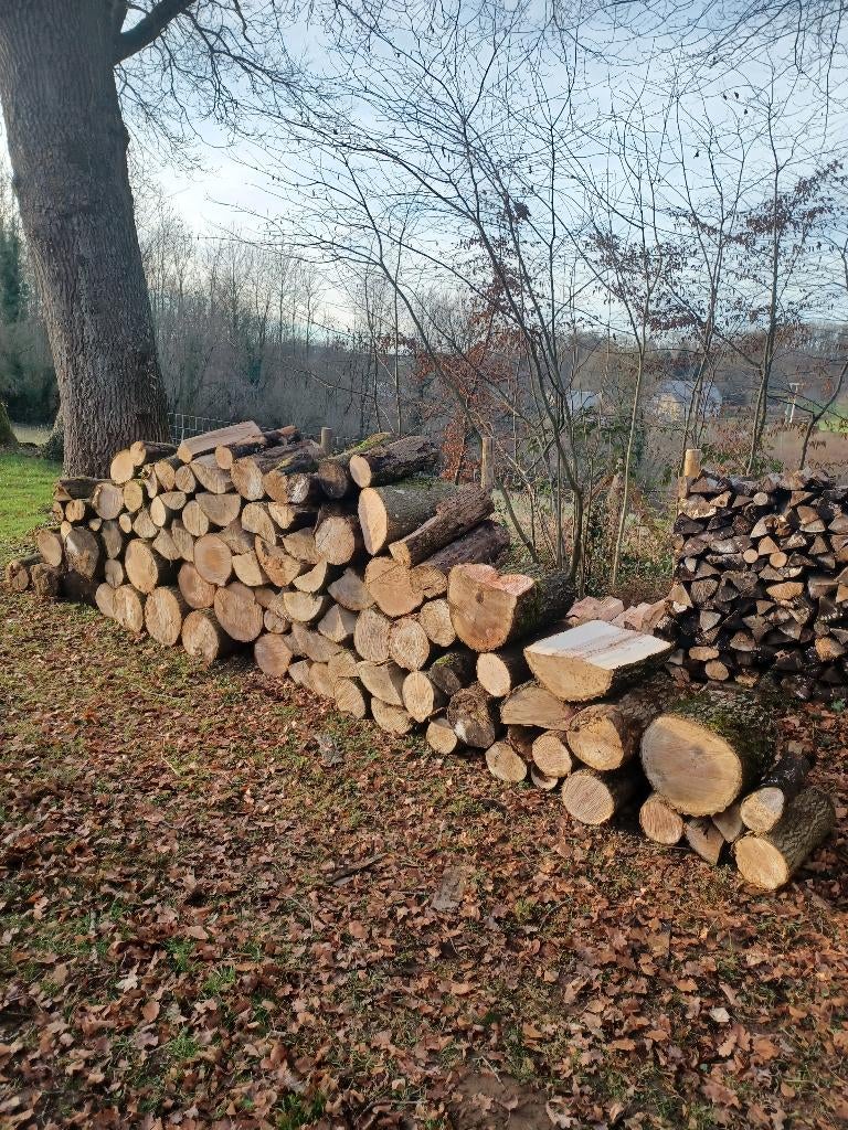 Bois de chauffage, Jardin & Terrasse, Bois de chauffage, Enlèvement ou Envoi, Frêne, Bûches