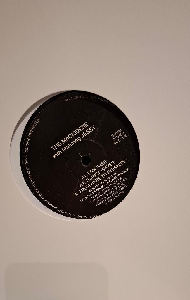 The Mackenzie feat jessy, CD & DVD, Vinyles | Dance & House, Enlèvement ou Envoi, Utilisé