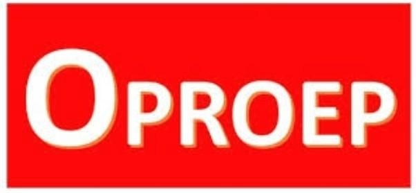 OPROEP – HELP MIJ MIJN SHETLANDPONY’S TERUG TE VINDEN, Merrie