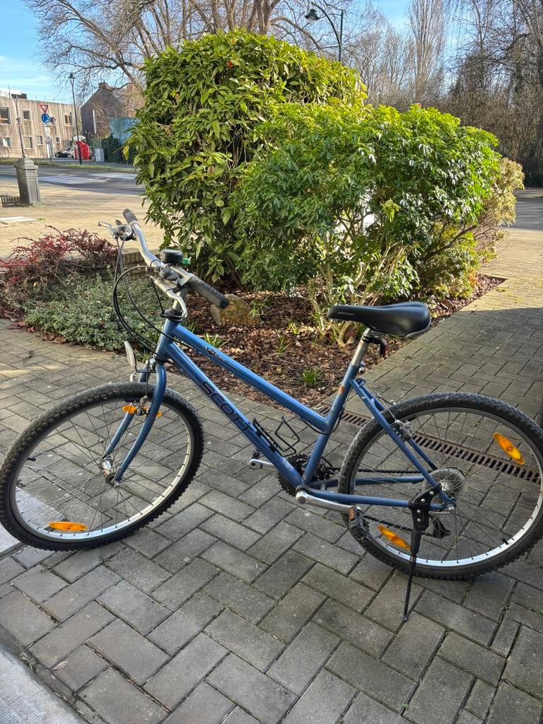 Vélo adulte Scott, Enlèvement, Utilisé, Autres marques