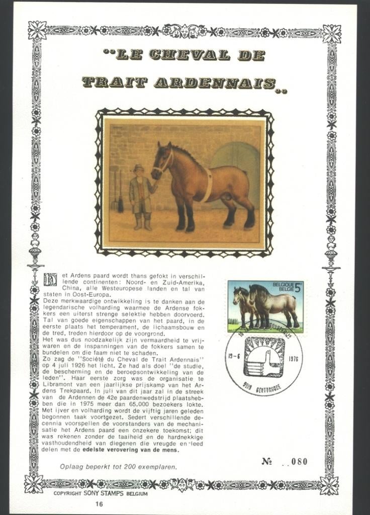 1976 Cheval de trait Ardennais, Envoi