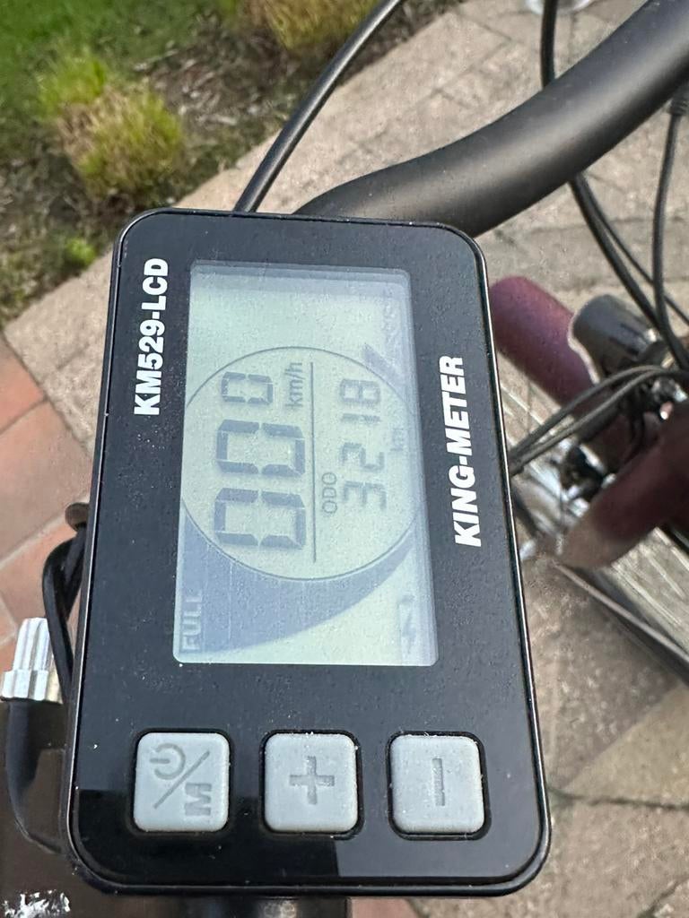 Elektrische fiets, Enlèvement