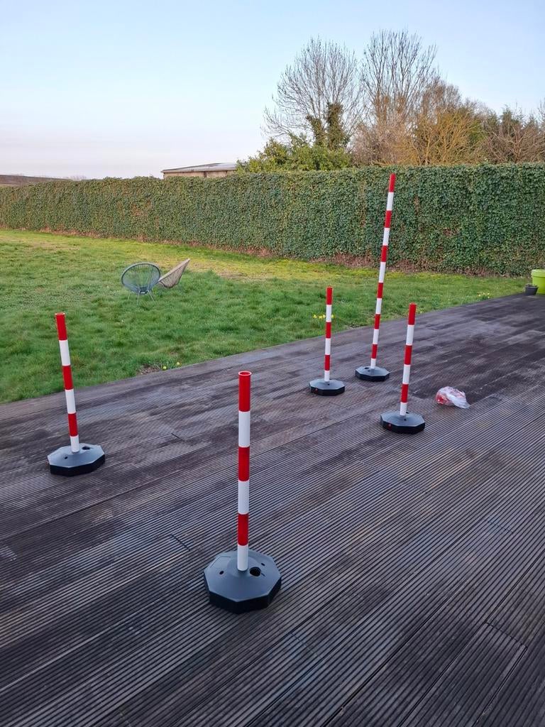 Voiture : apprendre à conduire, Enlèvement