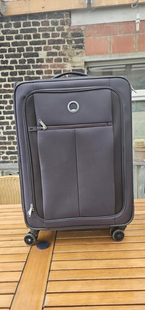 Valise delsey, Enlèvement