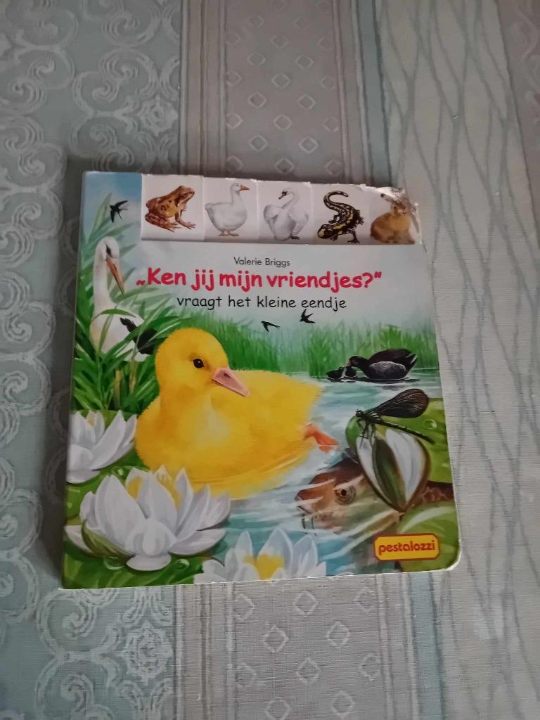 Ken jij mijn vriendjes? (4 boekjes), Enlèvement, Utilisé, 3 à 4 ans