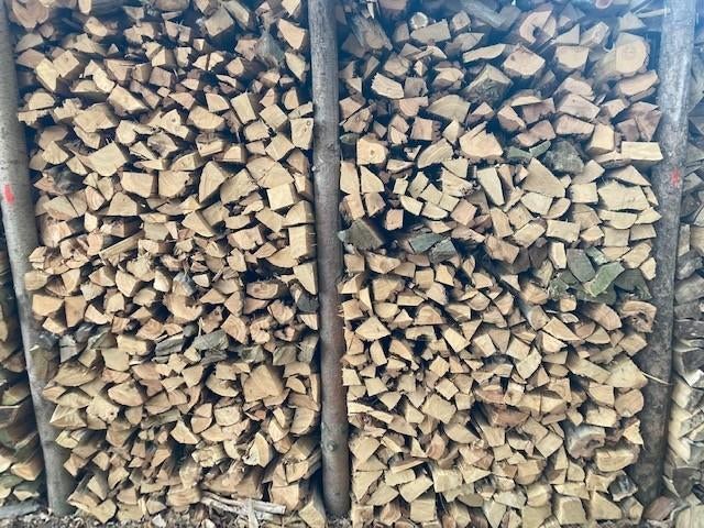 brandhout 120€ per stère gestapeld Droog, 6 m³ of meer, Ophalen, Beukenhout, Blokken