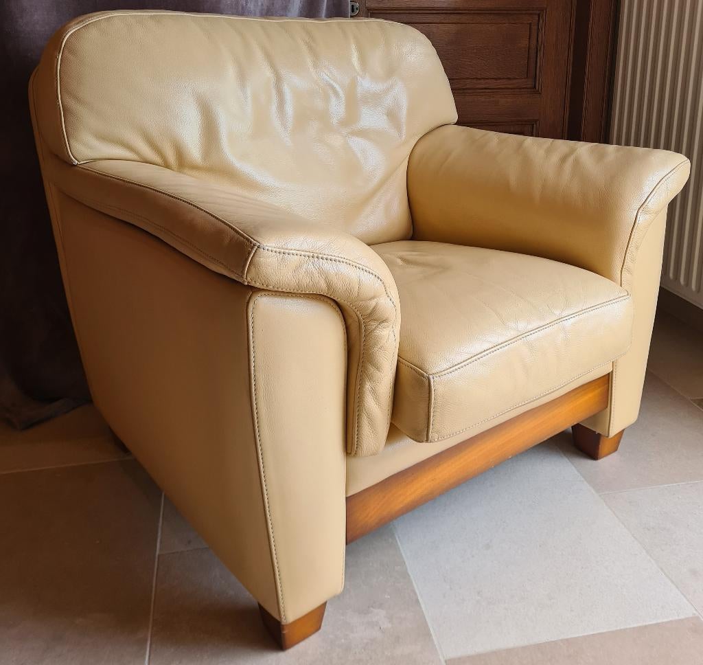 Zetel Leder, Huis en Inrichting, Zetels | Zetels, Ophalen