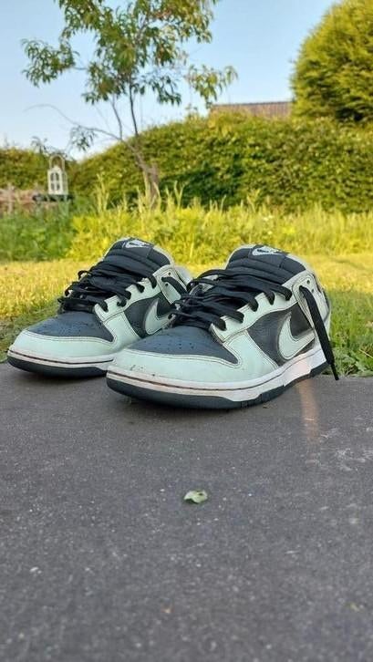 Nike Dunk Low Retro Premium Taille 42.5, Enlèvement