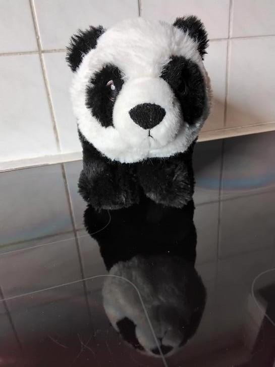 Knuffel Panda Eco Nation, Ophalen of Verzenden