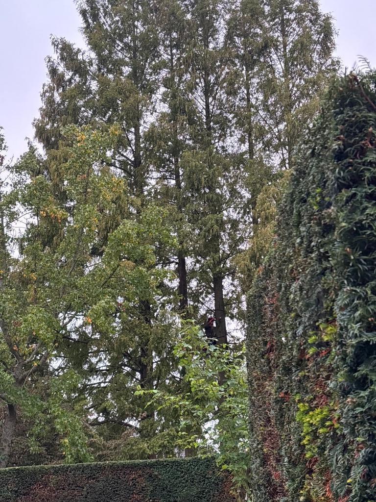 GRATIS OFFERTE, Enlèvement, Neuf