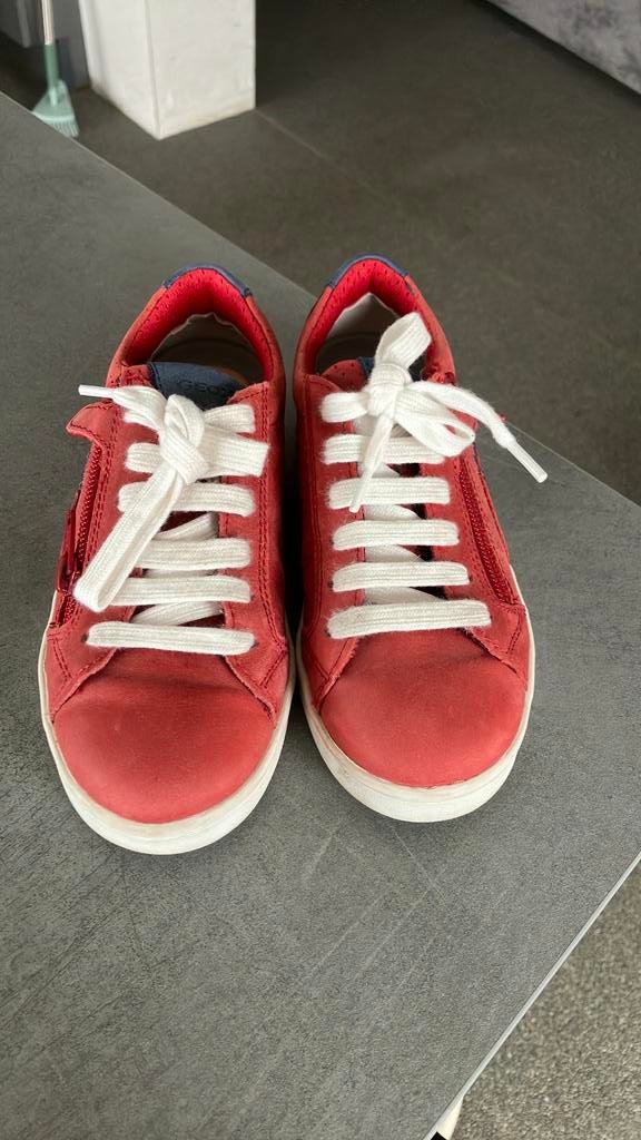 Geox, Neuf, Garçon, Enlèvement, Chaussures