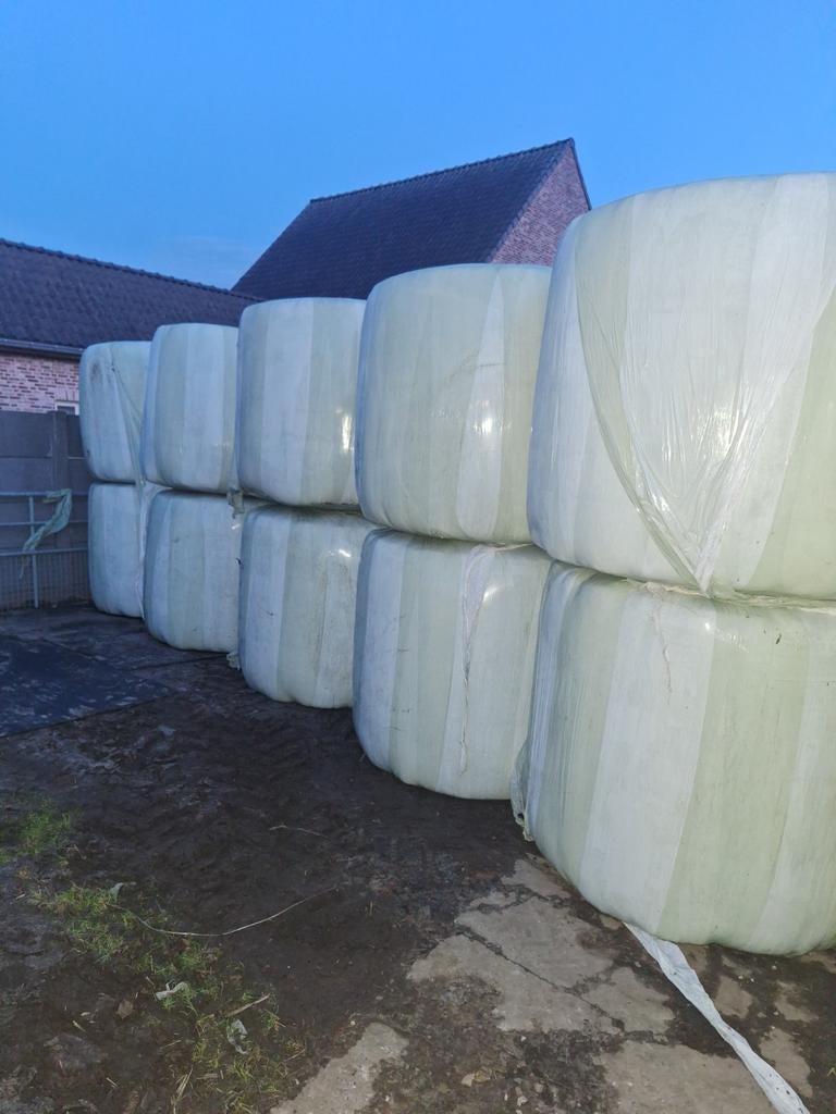 Grote pakken hooi, Dieren en Toebehoren, Ophalen