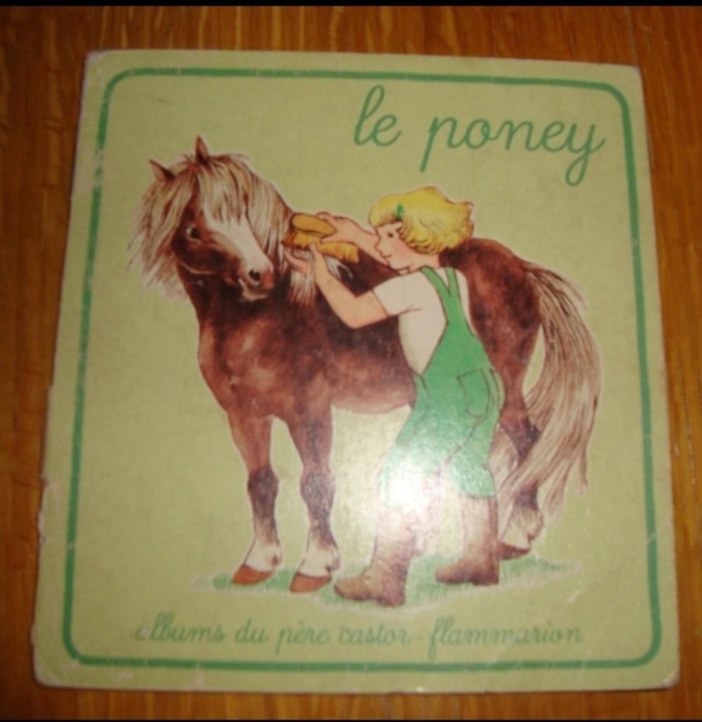Le Poney, Envoi, Utilisé