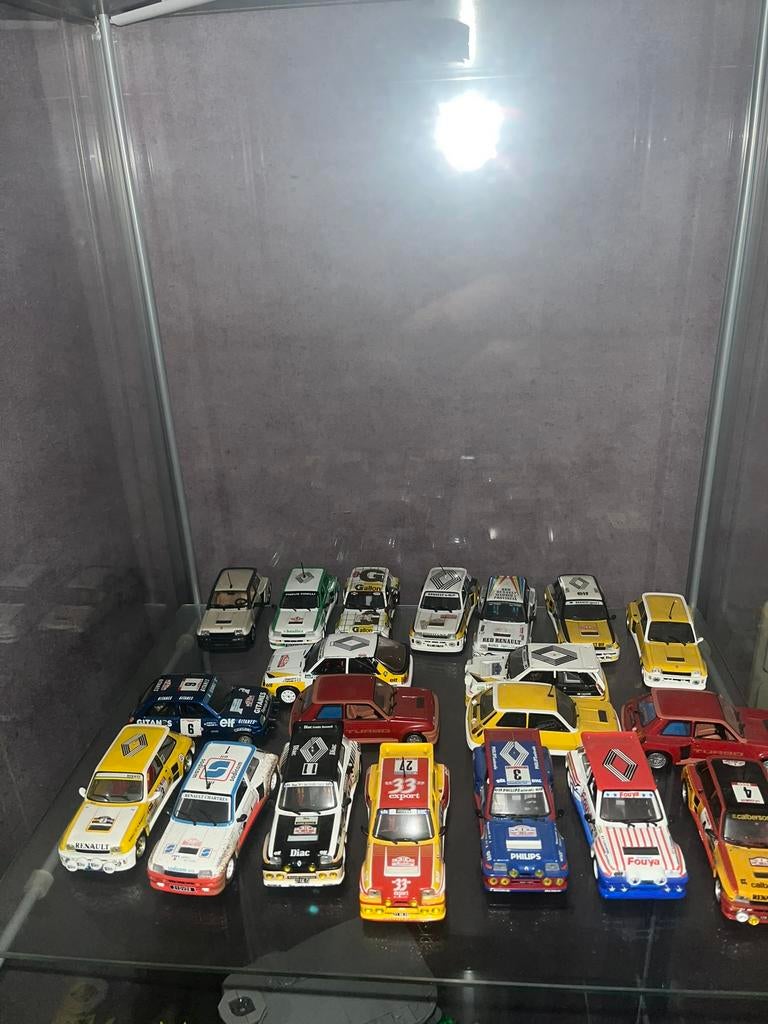 Verzameling renault5, Verzamelen, Ophalen