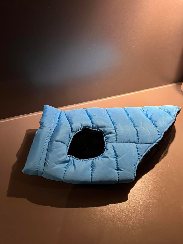 Honden jasje blauw kleine hond bv chiwawa, Animaux & Accessoires, Enlèvement, Neuf