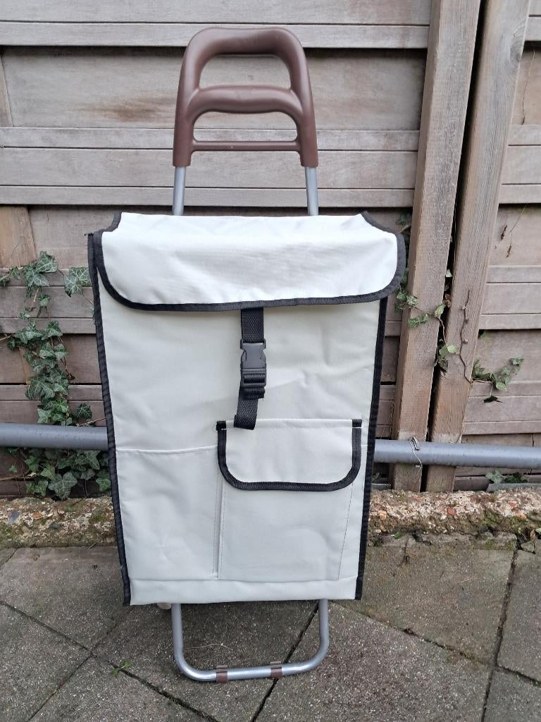 Caddy de chariot de courses, 75 cm ou plus, Gris, Enlèvement, Roulettes