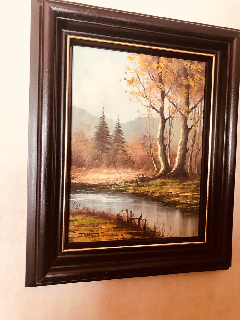 Mooi schilderij rivier mer bos, Enlèvement