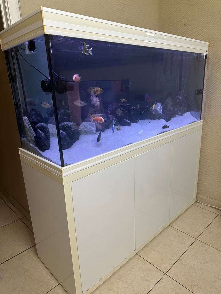 aquarium Aquatlantis, Dieren en Toebehoren, Ophalen, Gebruikt, Leeg aquarium
