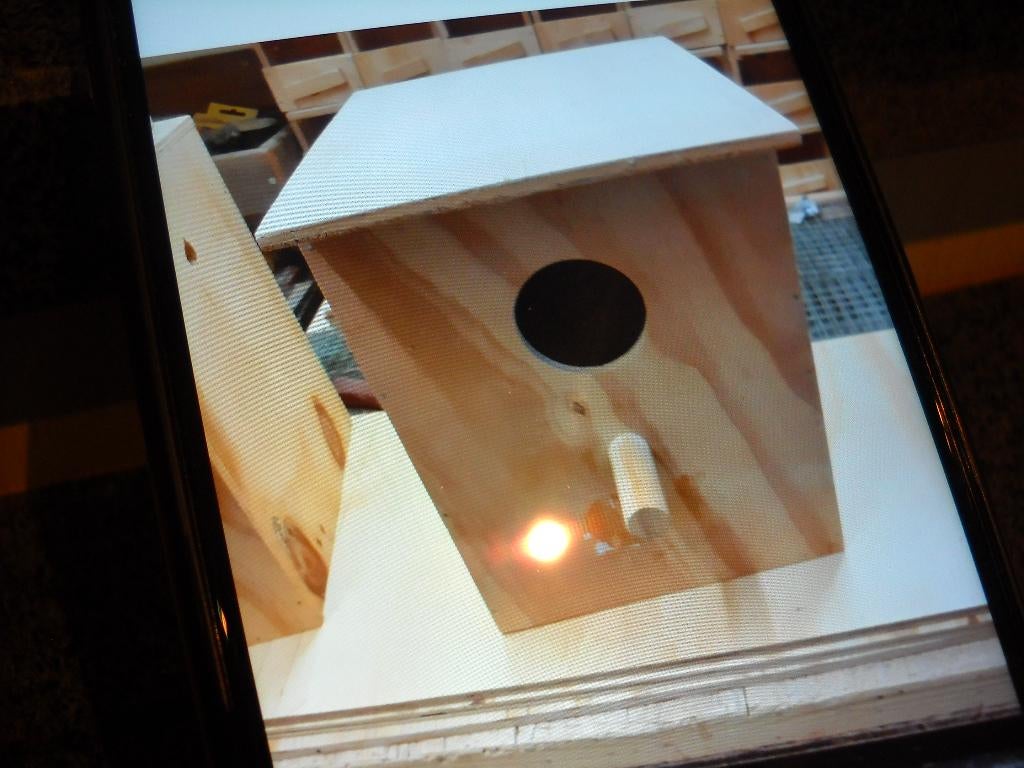 nestblokken voor valkp / grasp. en kanaries, Dieren en Toebehoren, Overige Dieren-accessoires, Ophalen