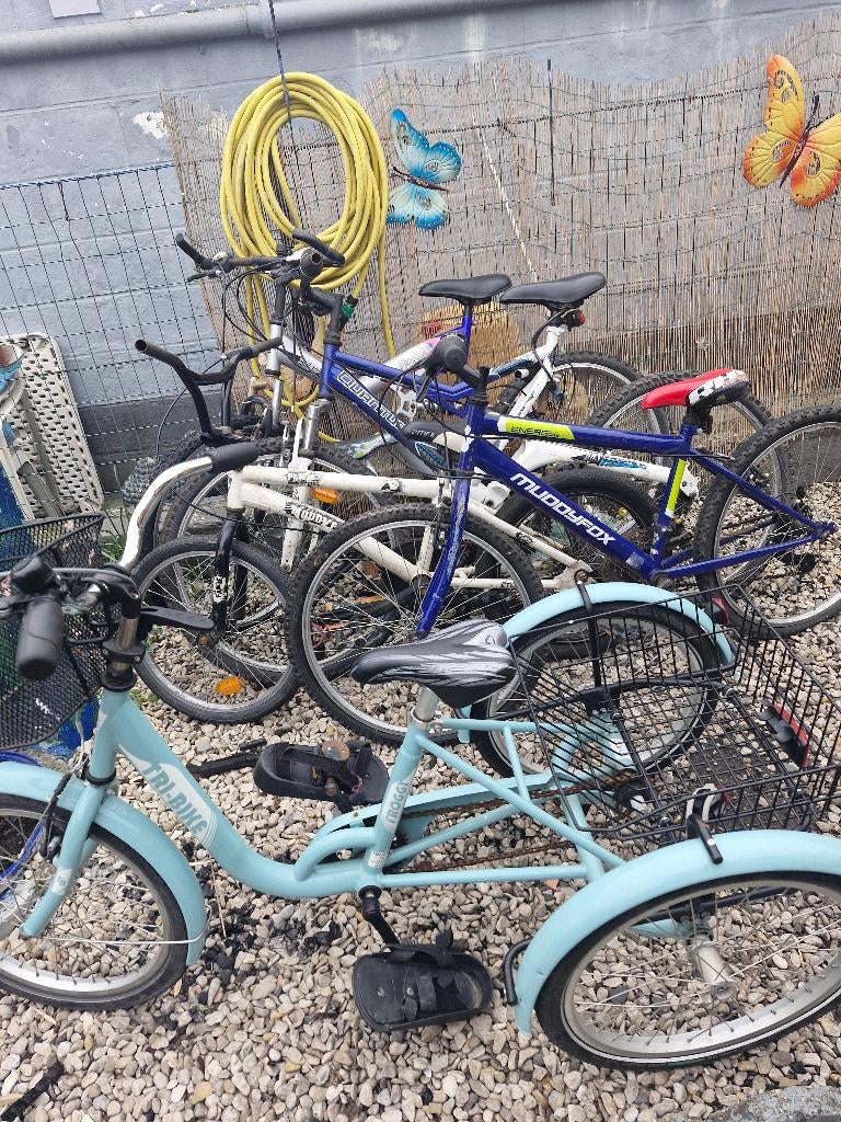 Lot velo, Vélos & Vélomoteurs, Vélos | Hommes | Vélos pour homme, Enlèvement, Utilisé, Vitesses