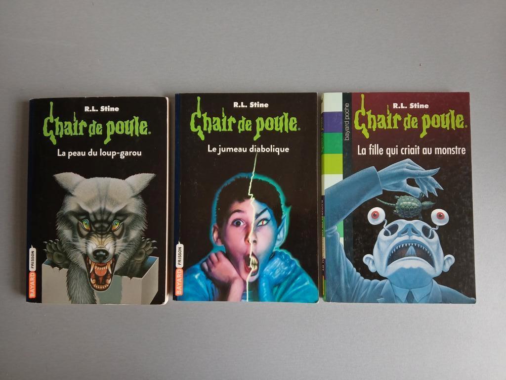 Chair de poule 3 titres R.L. Stine Bayard, Livres, Enlèvement ou Envoi, Comme neuf, Fiction