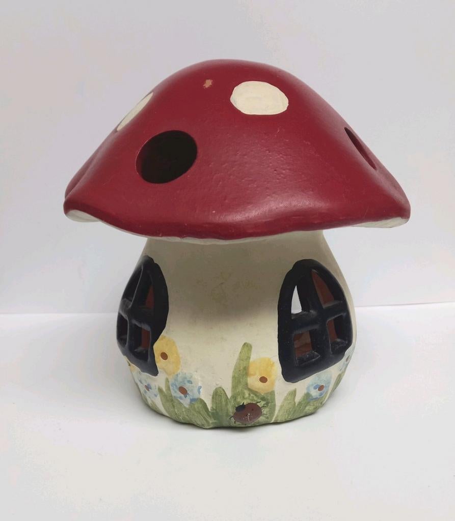 ❤️ Champignon 🍄, Jardin & Terrasse, Enlèvement ou Envoi