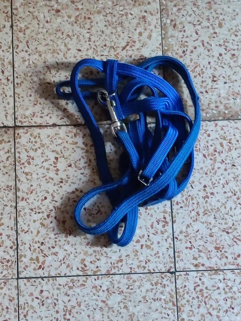 Laisse pour chien, Animaux & Accessoires, Enlèvement ou Envoi, Comme neuf, Laisse pour chien