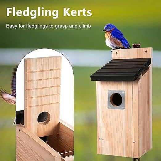 Nichoir | nichoir suspendu | LIVRAISON GRATUITE, Jardin & Terrasse, Maisons & Bains d'oiseaux, Neuf, -, -, SUNOYA