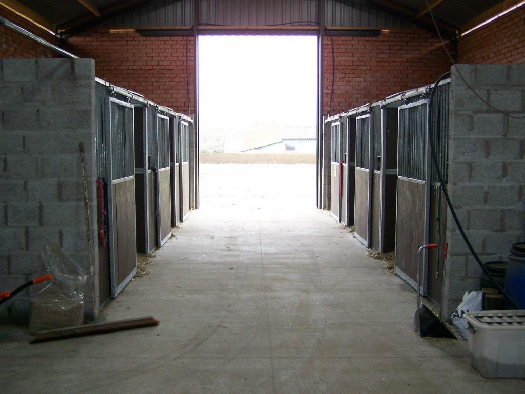 paardenstalling omgeving stekene koewacht, Pâturage, 1 cheval ou poney