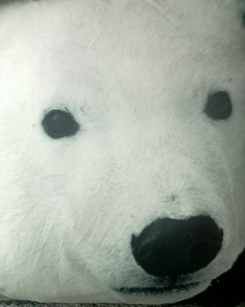 Lot de 2 coussins réversibles Ours polaires, Ophalen, Nieuw, Wit, Vierkant