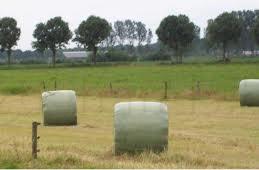 Top Hooi speciaal voor Paarden Pony's, Zakelijke goederen, Landbouw | Veevoer, Ophalen