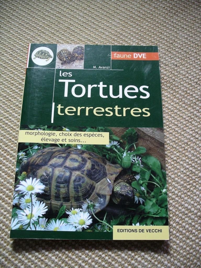 Les tortues terrestres - M Avanzi - comme neuf, Boeken, Dieren en Huisdieren, Ophalen of Verzenden, Zo goed als nieuw, Reptielen of Amfibieën